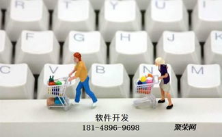 洋蔥海外購商城OMALL模式軟件定制